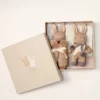 Coffret cadeau naissance lapin taupe Baby Threads avec doudou et hochet en coton biologique dans leur boîte cadeau.